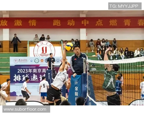 南京排球队的节奏揭秘：从训练到比赛的全景探索与感悟