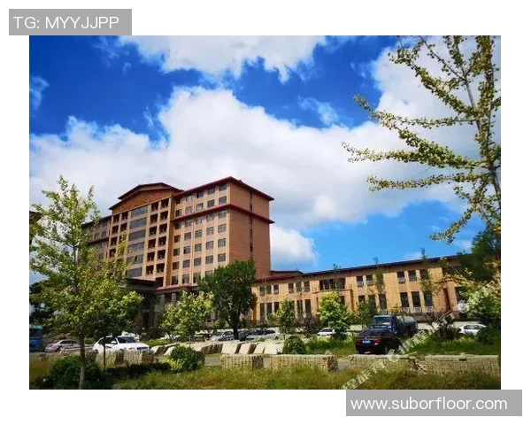 庄河足球明星全景盘点及其成就分析与发展前景探讨