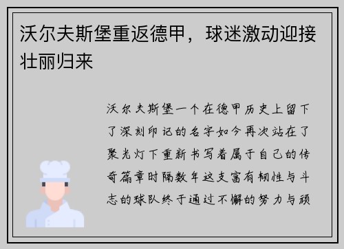 沃尔夫斯堡重返德甲，球迷激动迎接壮丽归来