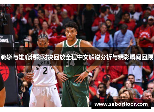 鹈鹕与雄鹿精彩对决回放全程中文解说分析与精彩瞬间回顾