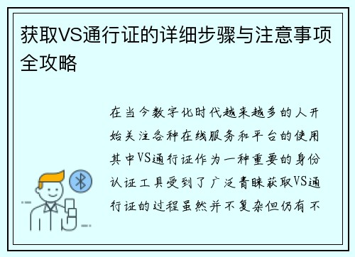 获取VS通行证的详细步骤与注意事项全攻略